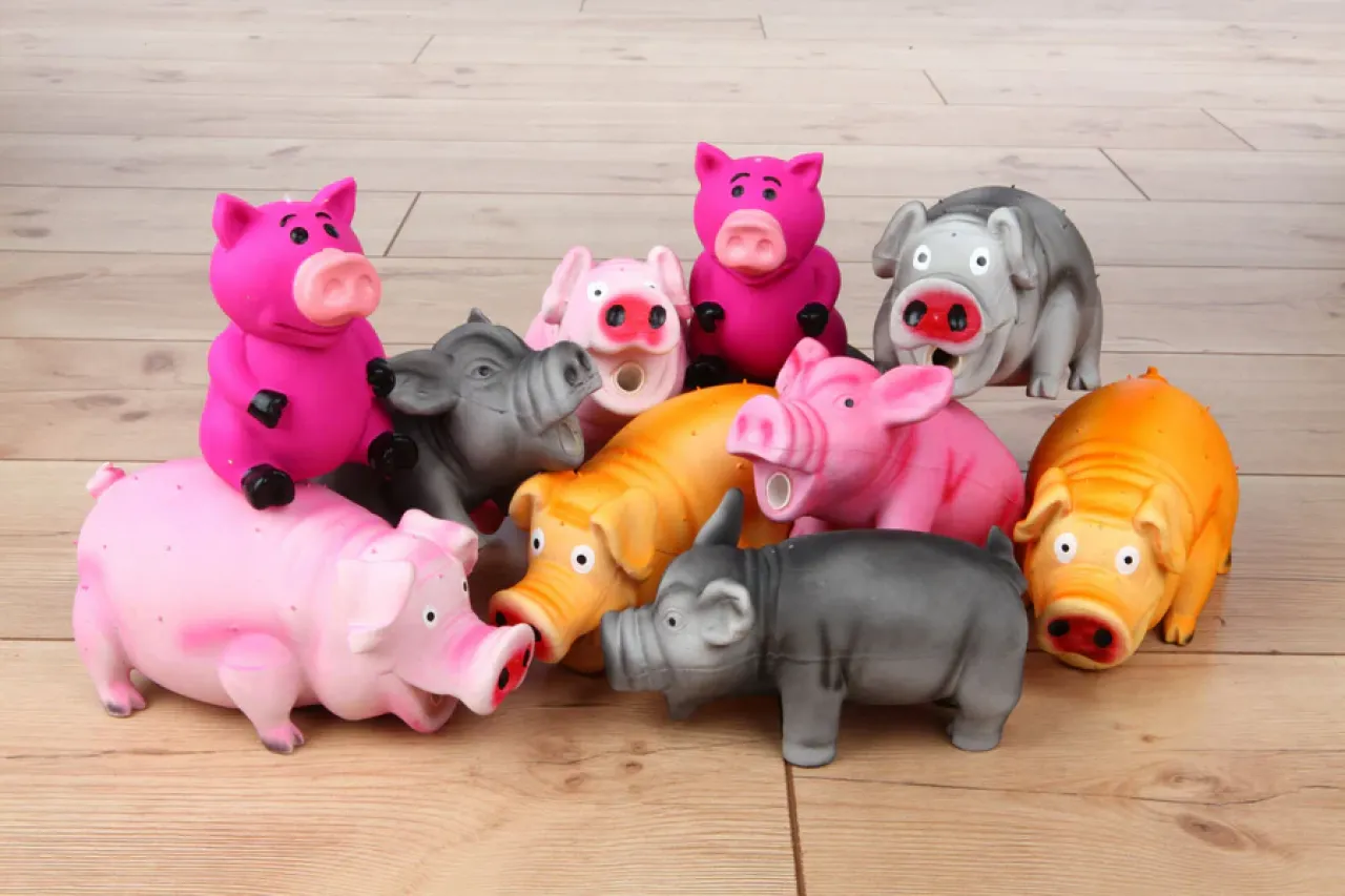 Borstenschwein Hundespielzeug